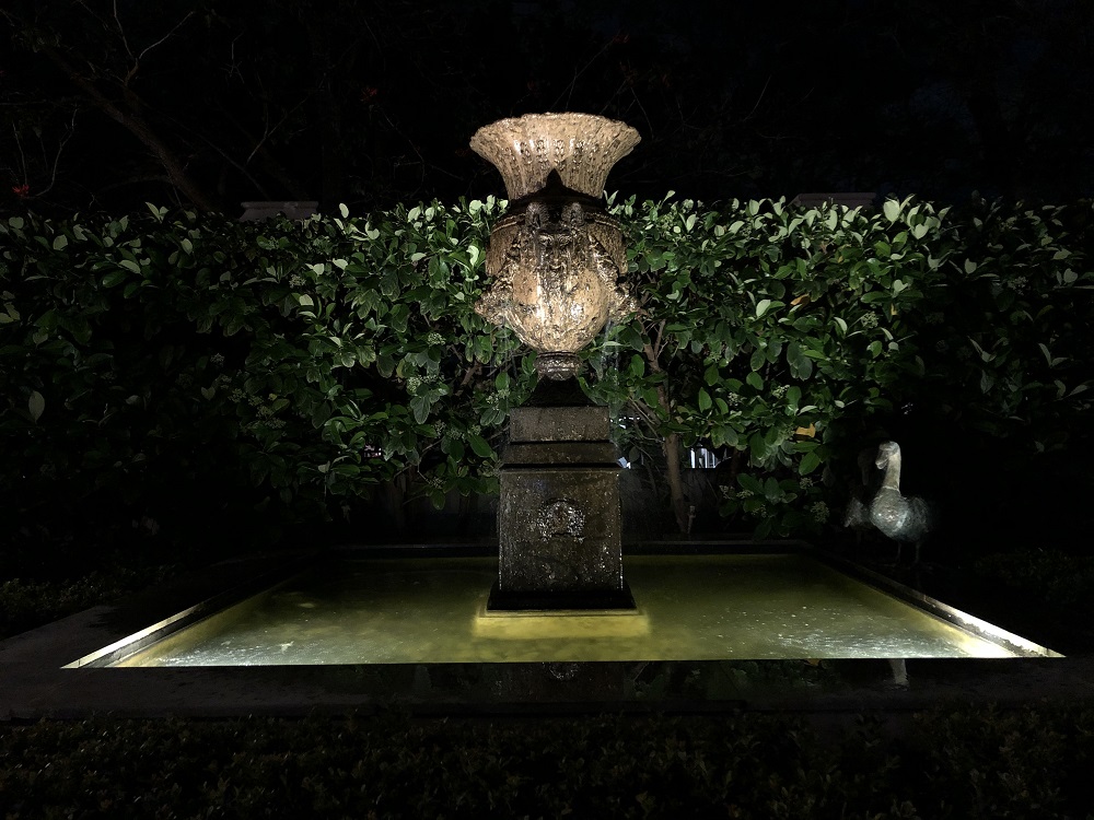 pond lighting design